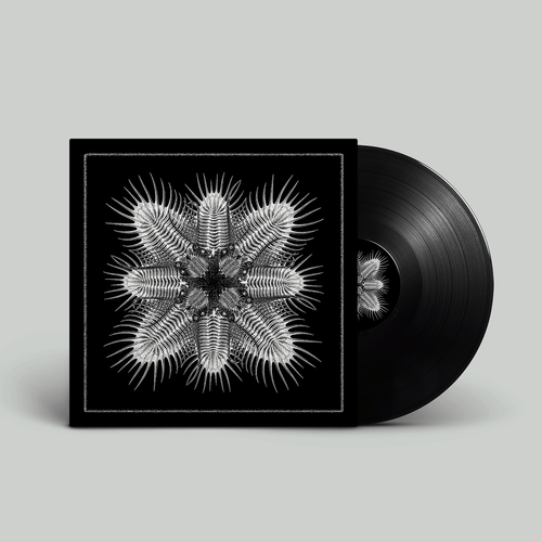 747 - Deep Space Opera Vinyl | Aquaregia